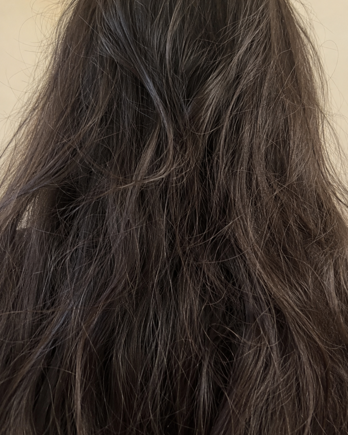 Frizzy, dry hair before SteamGlow